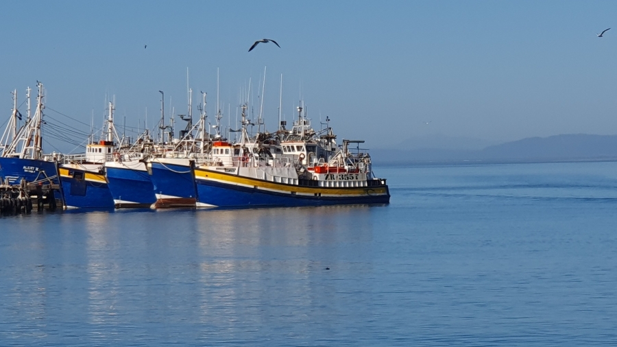 0 Bedroom Property for Sale in Shelley Point Western Cape